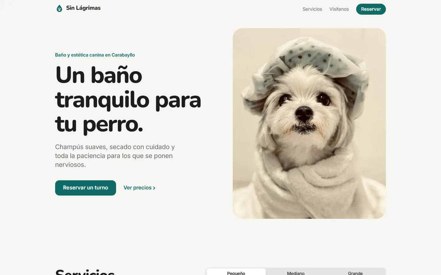 Portada: titular grande y la foto de un perrito envuelto en una toalla