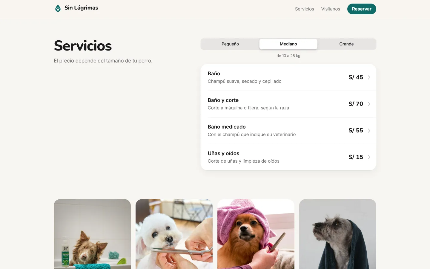 Servicios: selector de tamaño y lista de servicios con su precio